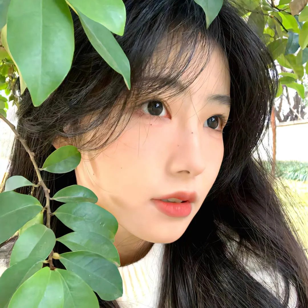 吸烟者 在线观看